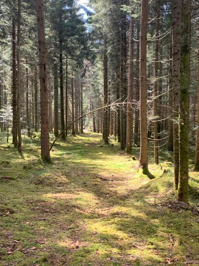 Tarahaus Lägenhet Sankt Georgen im Schwarzwald Exteriör bild
