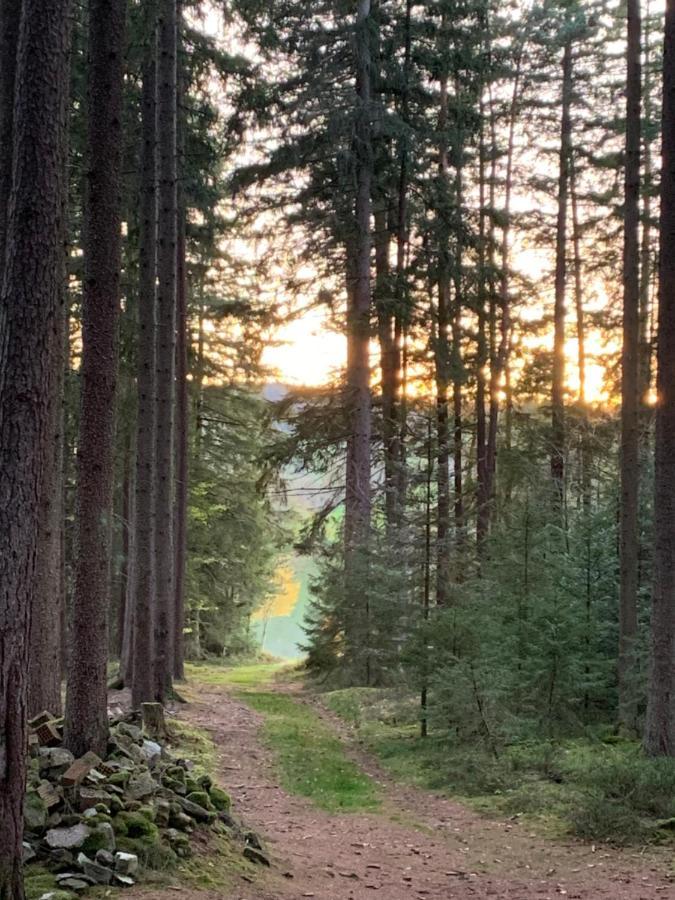 Tarahaus Lägenhet Sankt Georgen im Schwarzwald Exteriör bild